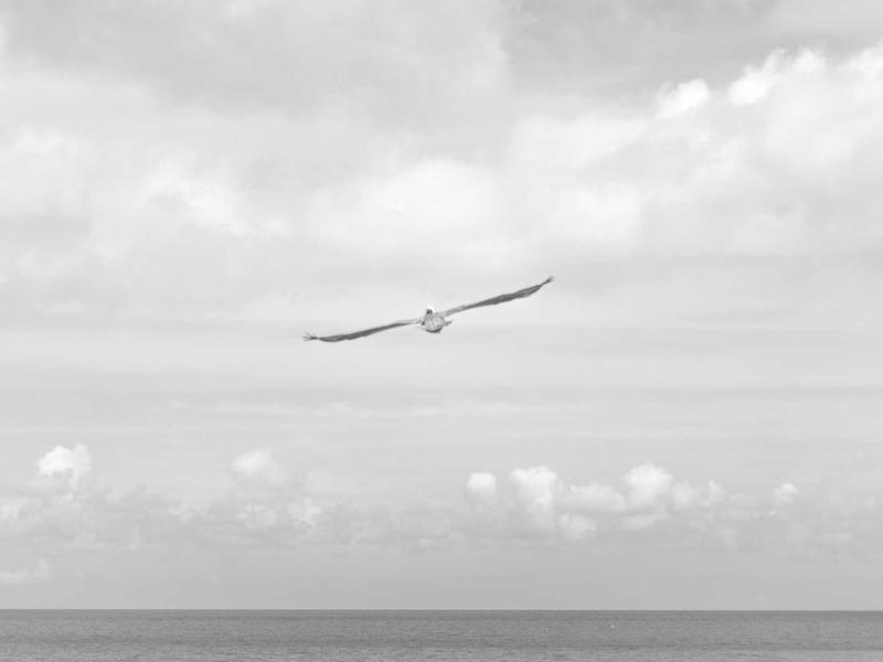 辐射避难所<br>ly8tfut.cn  Vault 111 生存